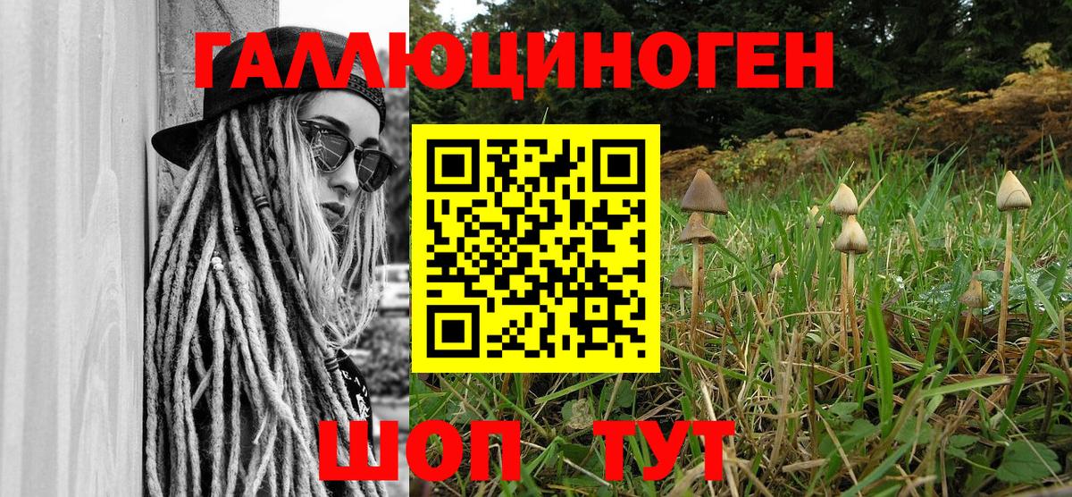 Нарткала  магазин  наркотиков  Псилоцибиновые грибы Psilocybine cubensis  Вход с VPN  Галлюциногенные грибы Psilocybe 